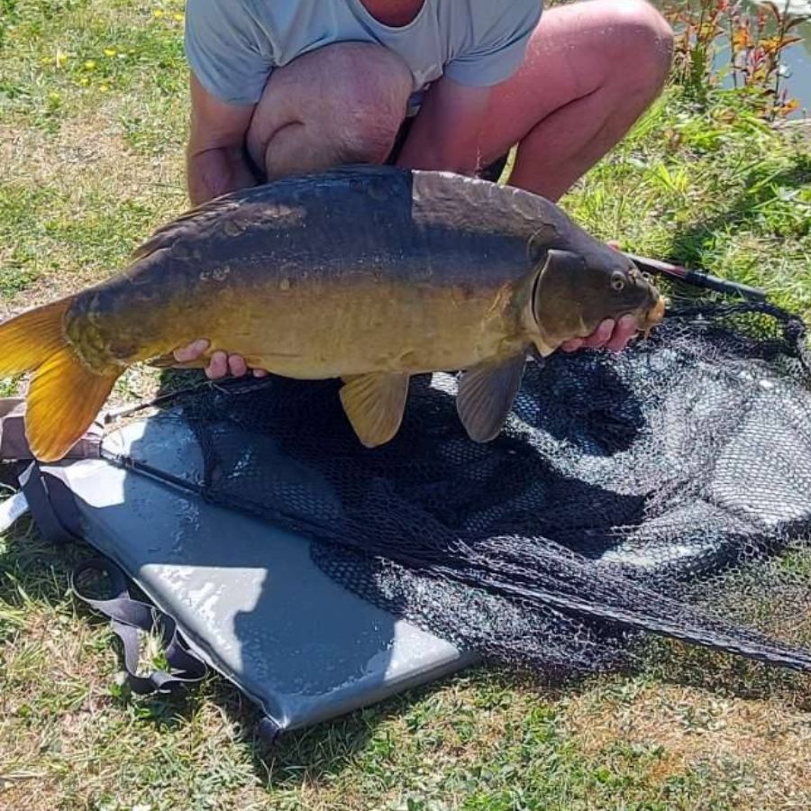 etang de pêche au blanc dans le pas-de-calais