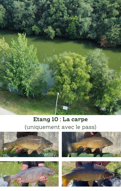 Etang 10 Camping Helfaut