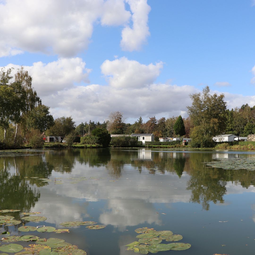fishing pond in France for pike