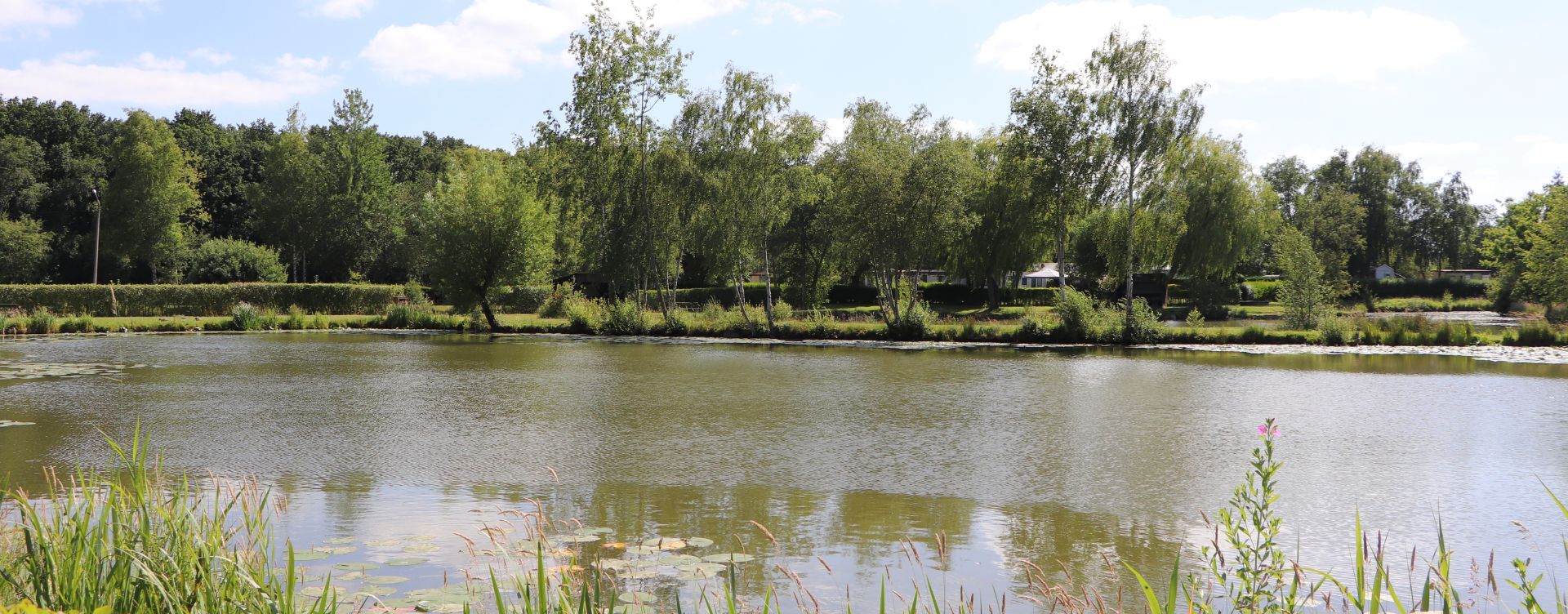 Pêche à la Carpe et Séjour au Bord de l'Eau à Helfaut – Camping Les Etangs du Plateau des Landes