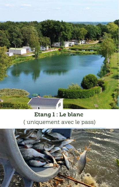 étang 1 Camping Helfaut 