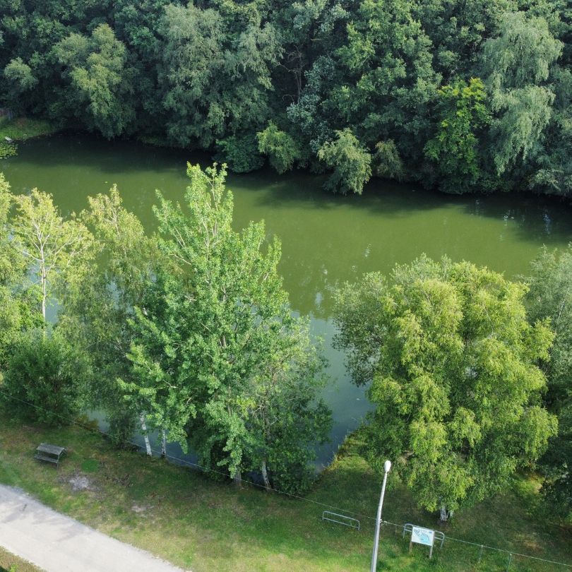 pêcheur carpe canne batterie les etangs du plateau des landes