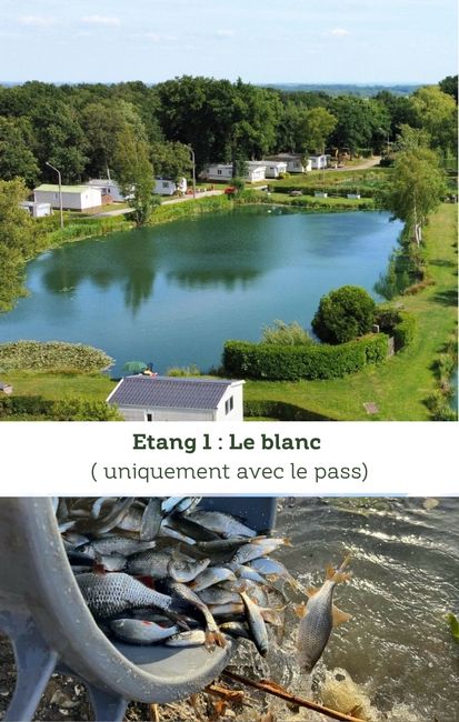 étang 1 Camping Helfaut 