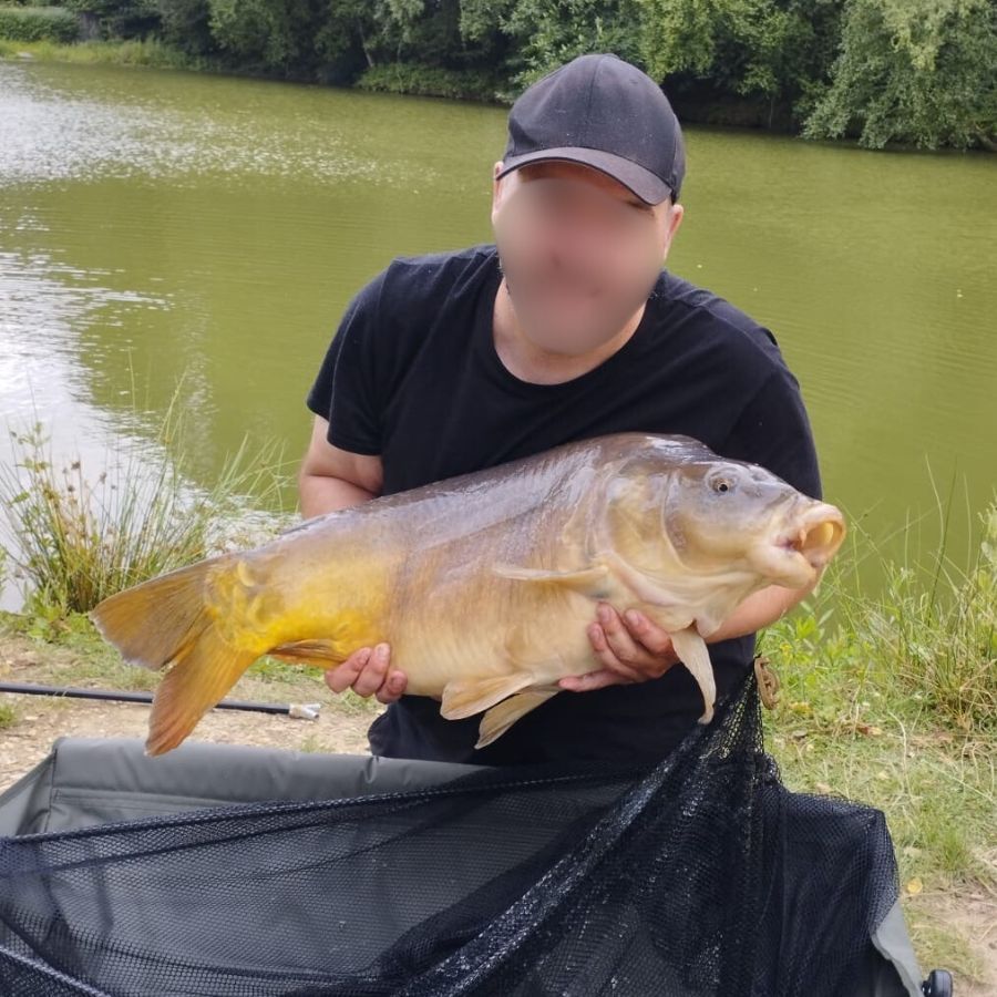 pêche à la carpe Pas de calais