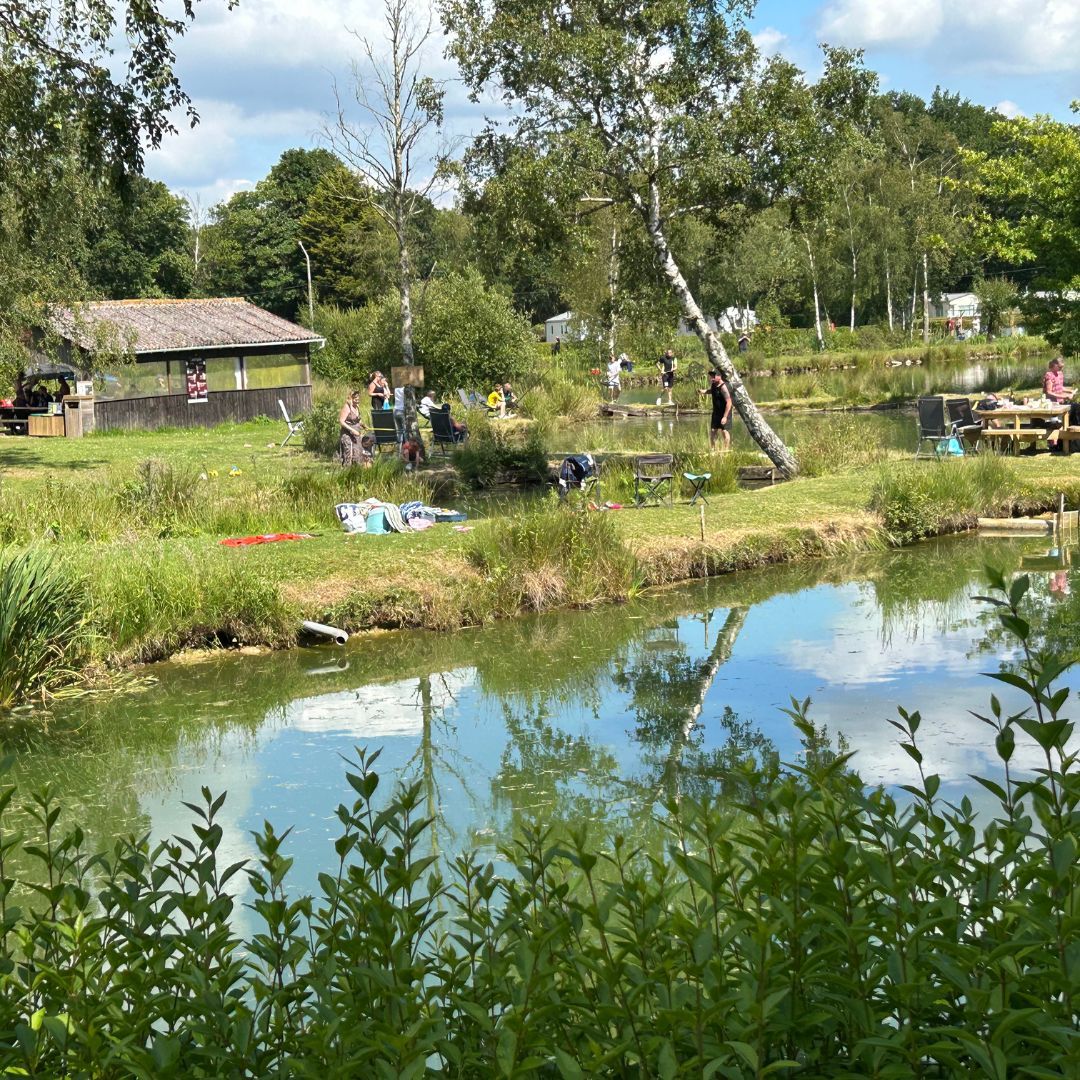 pêche truite pas de calais au camping