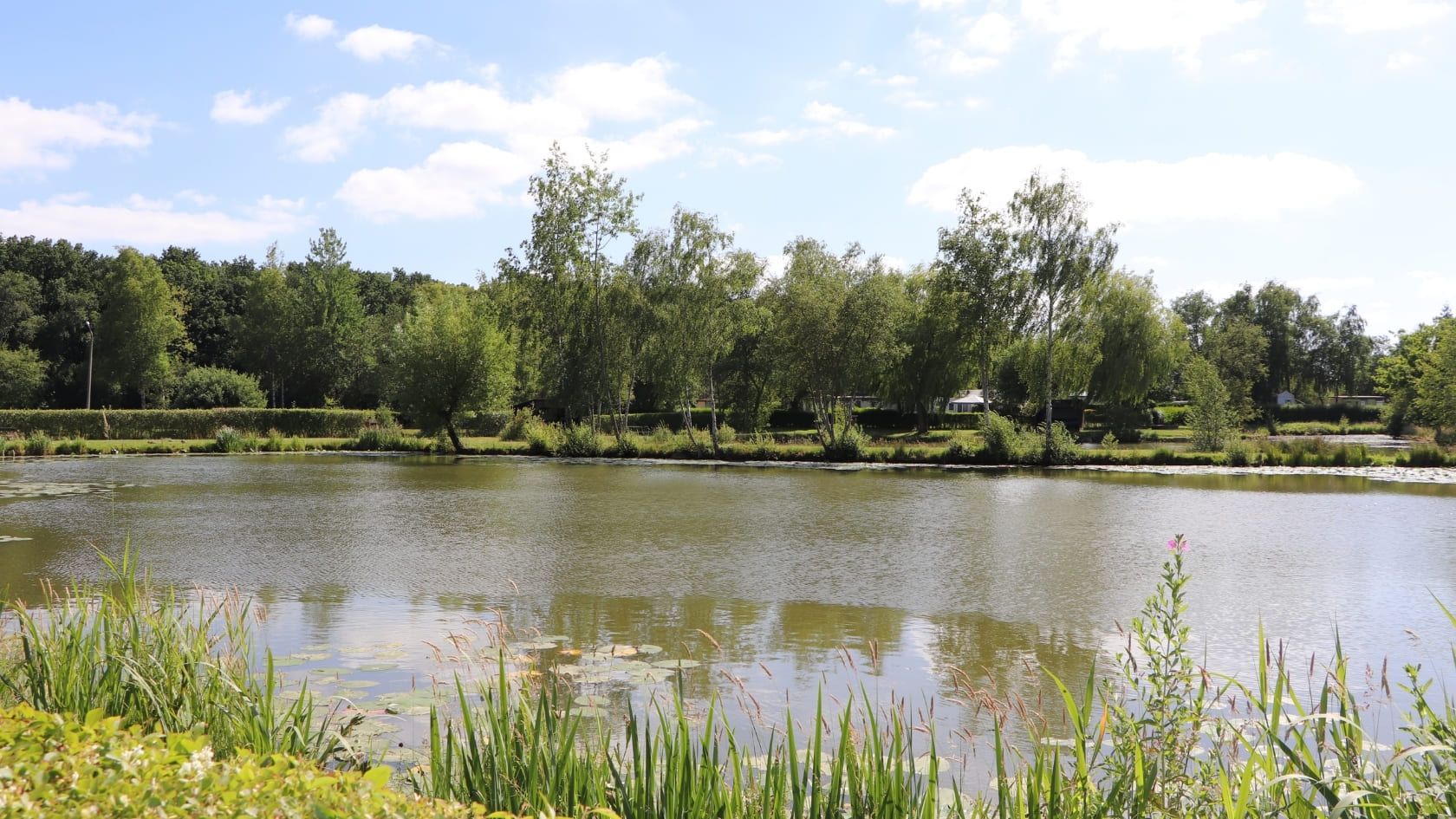 Camping avec étang de pêche Saint-Omer 
