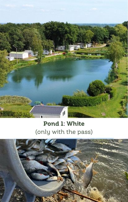 white fishing pond