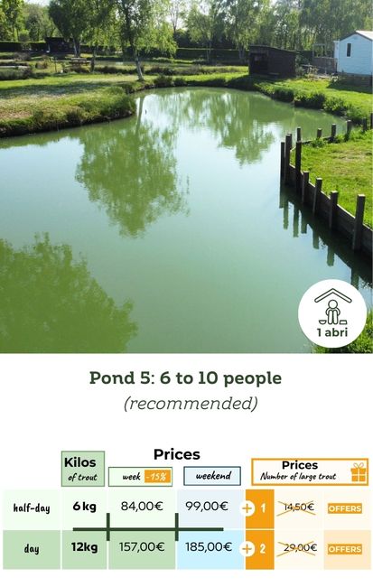 trout fishing pond 6