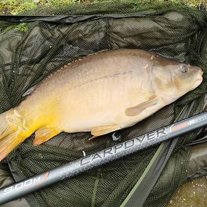 Pêche au camping d'Helfaut