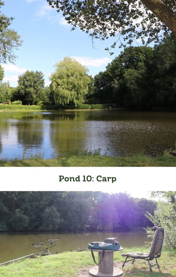 Etang 10 Camping Helfaut