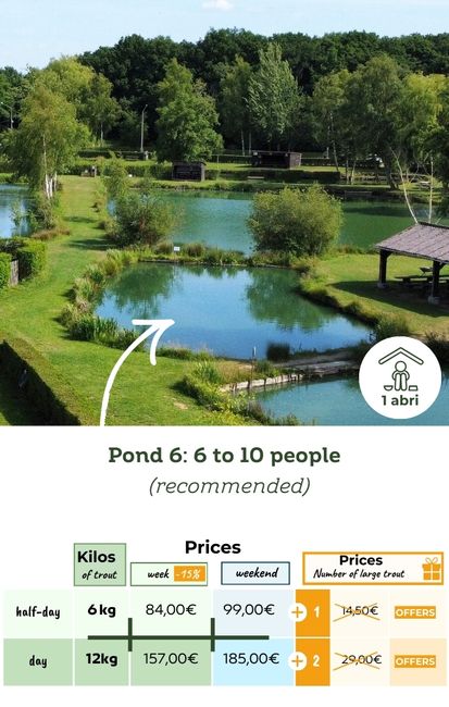 trout fishing pond 6